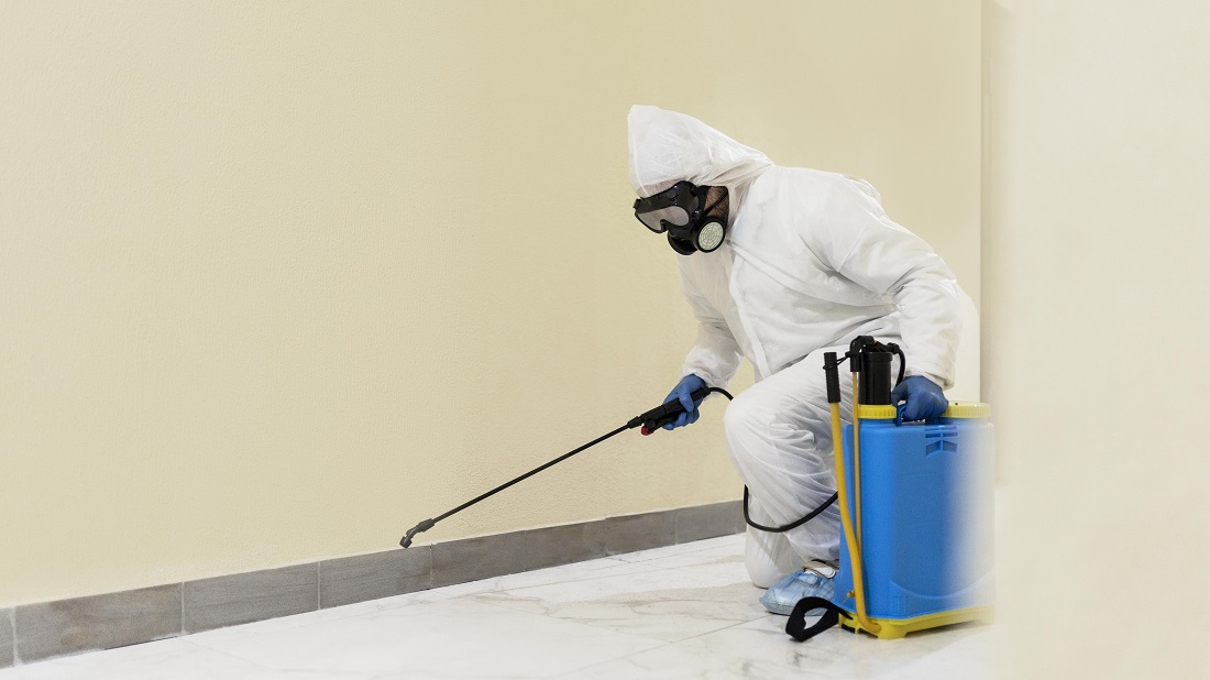 America’s Most Trusted Termite Pest Control Providers
